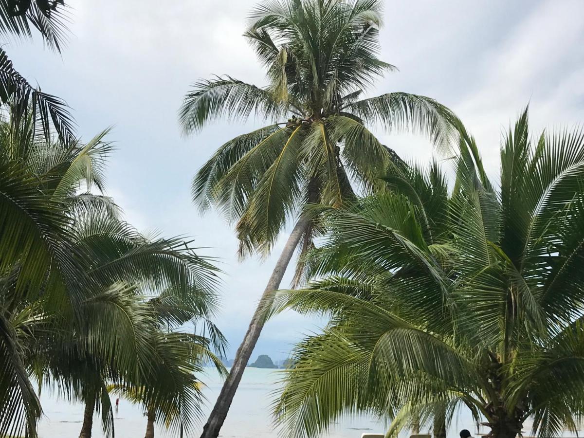 Koh Yao Yai Sea Breeze House เกาะยาวใหญ่ซีบรีซเฮ้าส์ 호텔 외부 사진